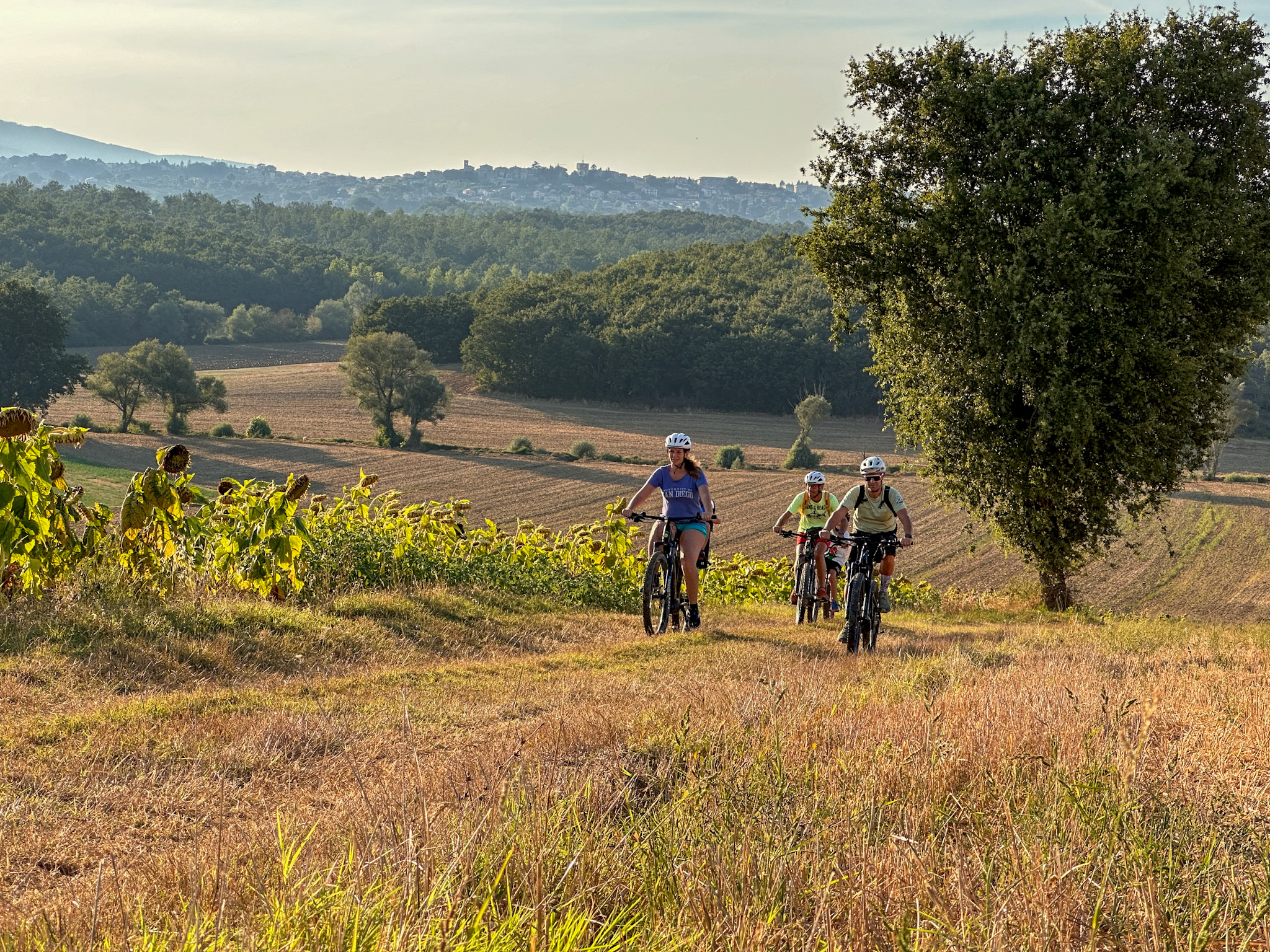 Pedalata immersi nel paesaggio umbro